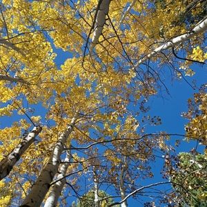 Meet your Posher, Marcos